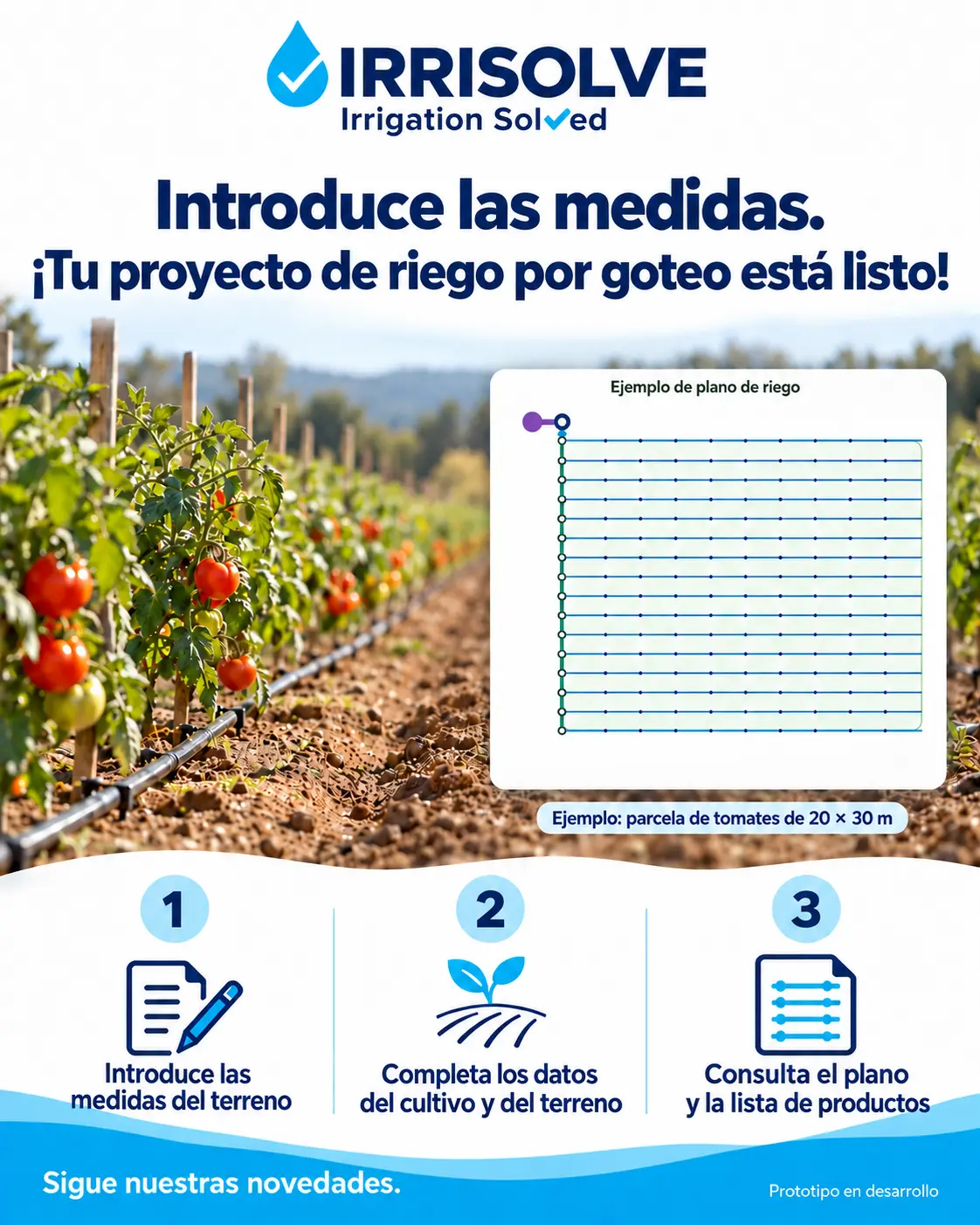 Riego por goteo — IrriSolve